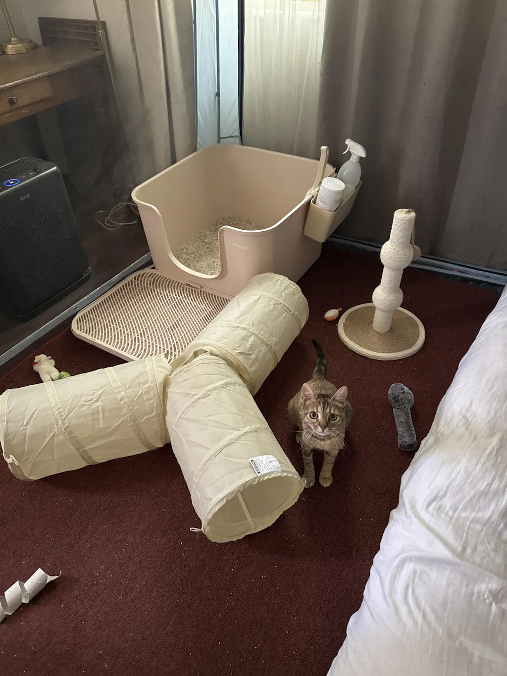 Mango Cube Litter Box XXL (Double Extra Large)