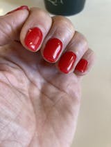 Kit Scarlet com Desconto Imperdível