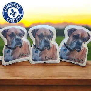 Coussin personnalisé avec photo de votre animal