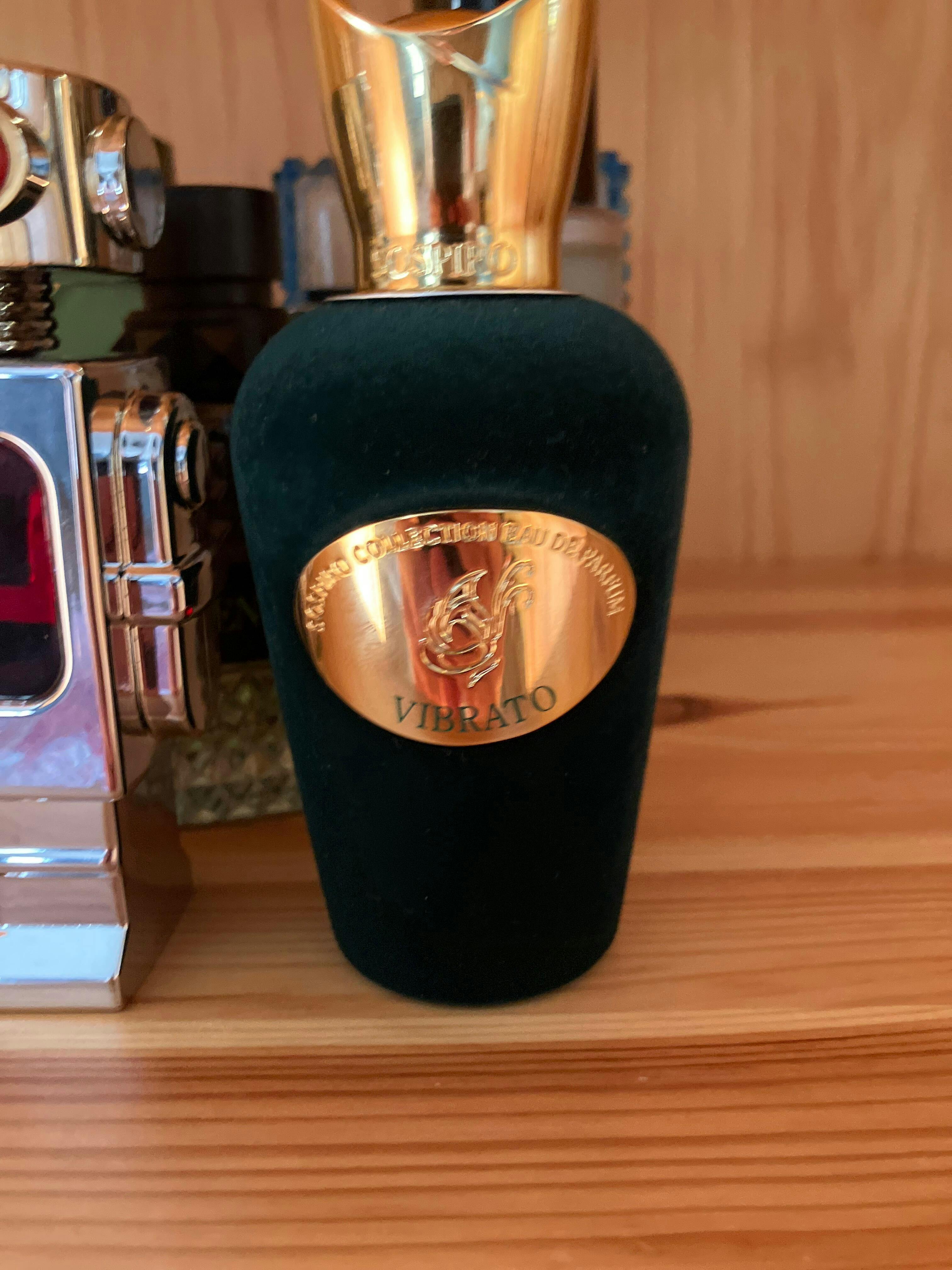 Bvlgari Man Terrae Essence Men Eau de Parfum | Maple Prime