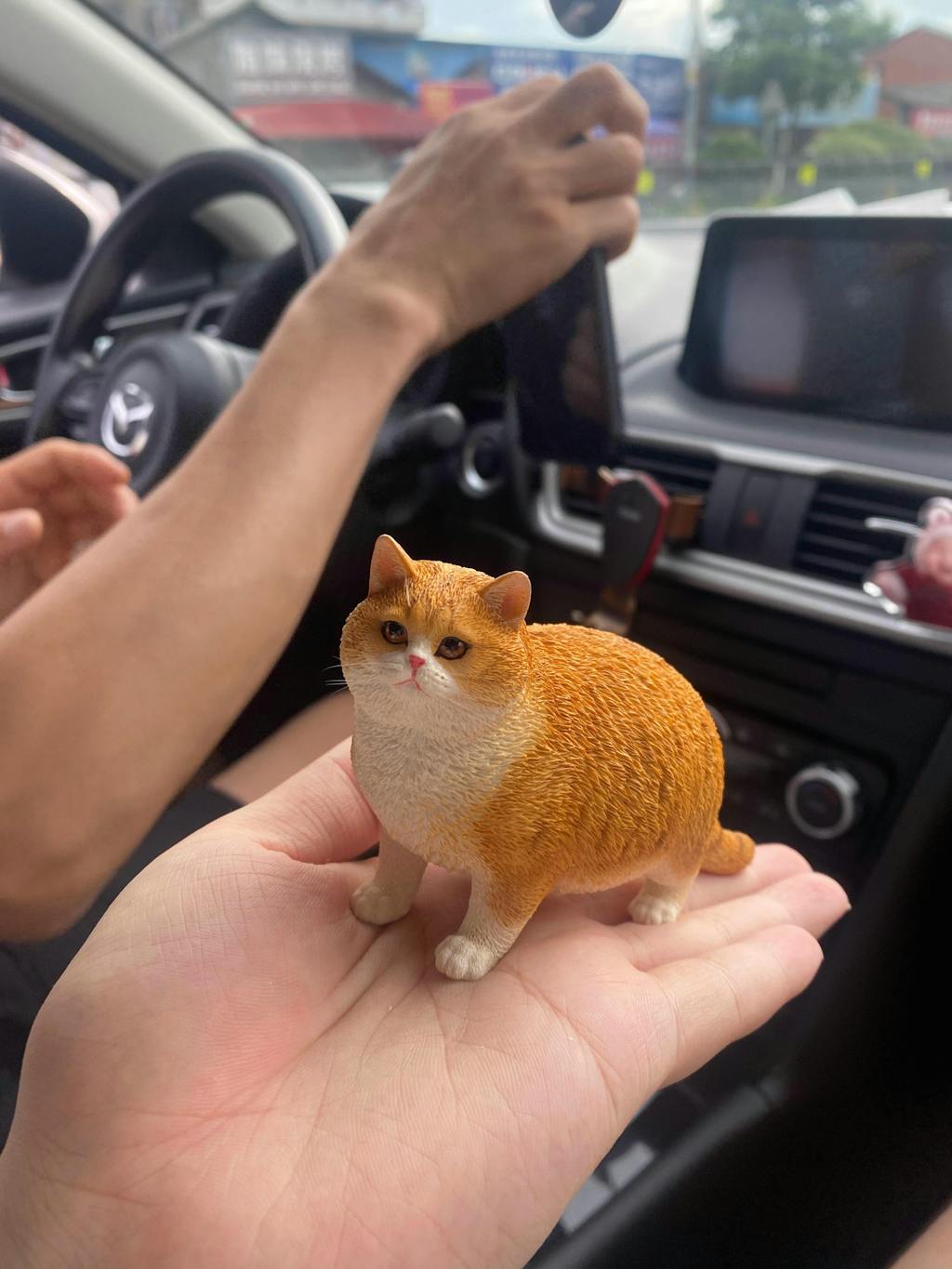 1/6 Fat Cat 1.0 Model - Adorable Realistic Cat Figurine Collection