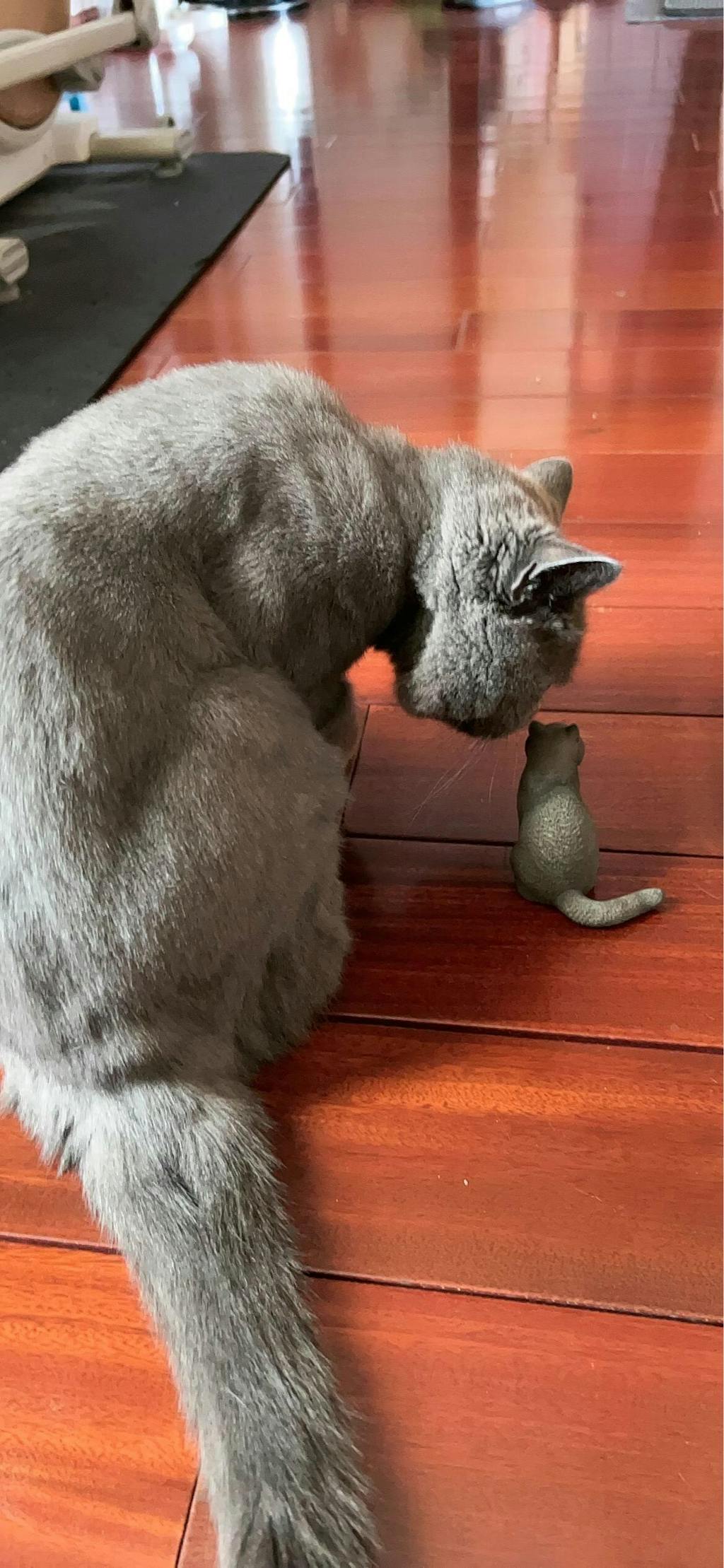 1/6 British Shorthair Cat Models - Realistic Resin Figurines