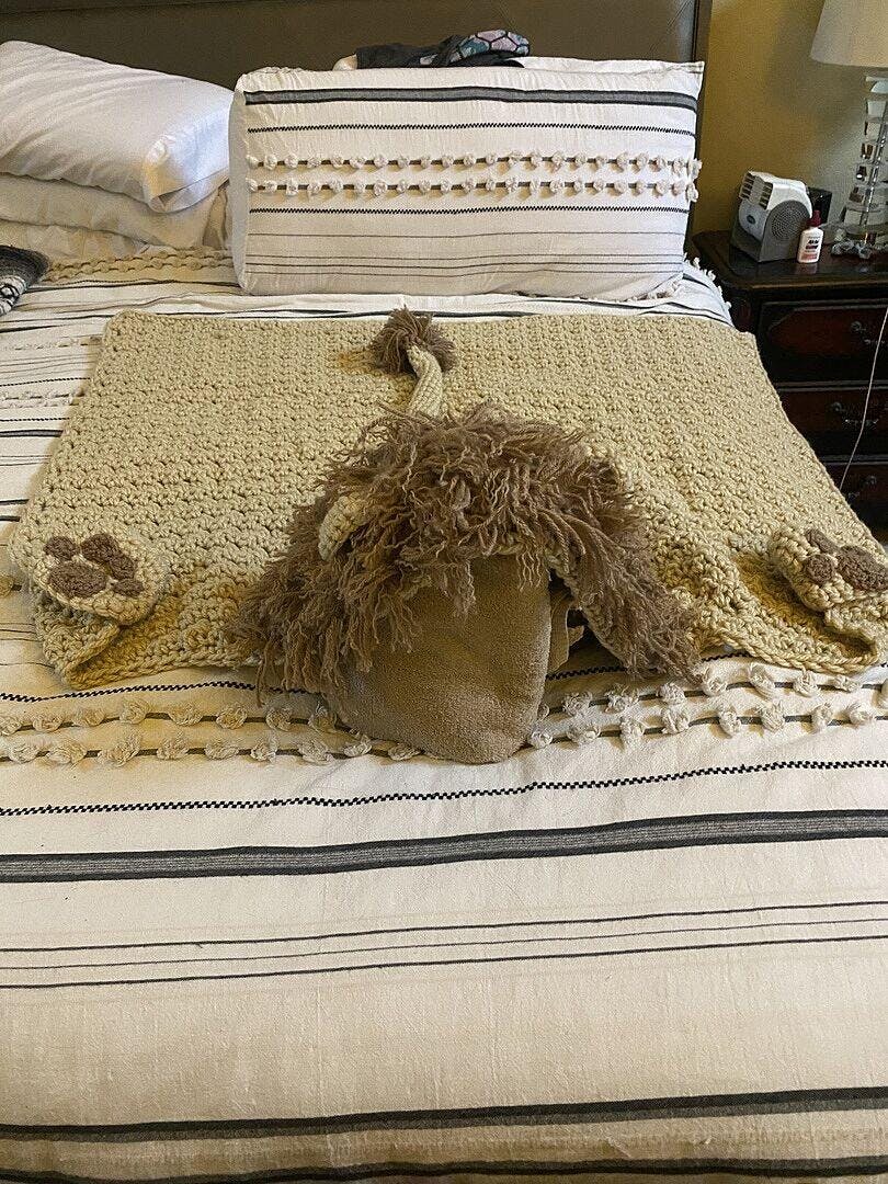 Hooded Lion Blanket – Mary Maxim