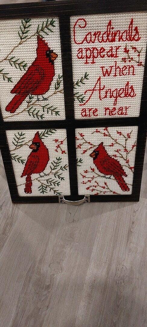 Cardinal Window Frame Plastic Canvas Kit – Mary Maxim