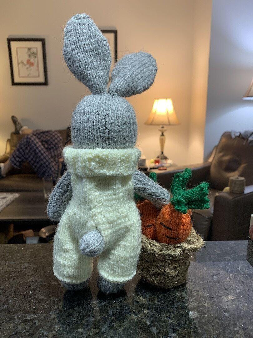 Carrot Patch Bunny Kit – Mary Maxim