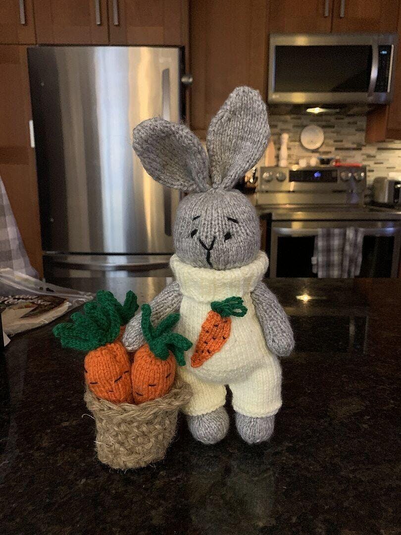 Carrot Patch Bunny Kit – Mary Maxim
