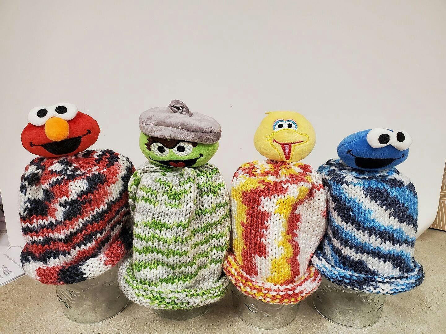 Sesame Street One Hat Wonder Yarn Set of 4 – Mary Maxim