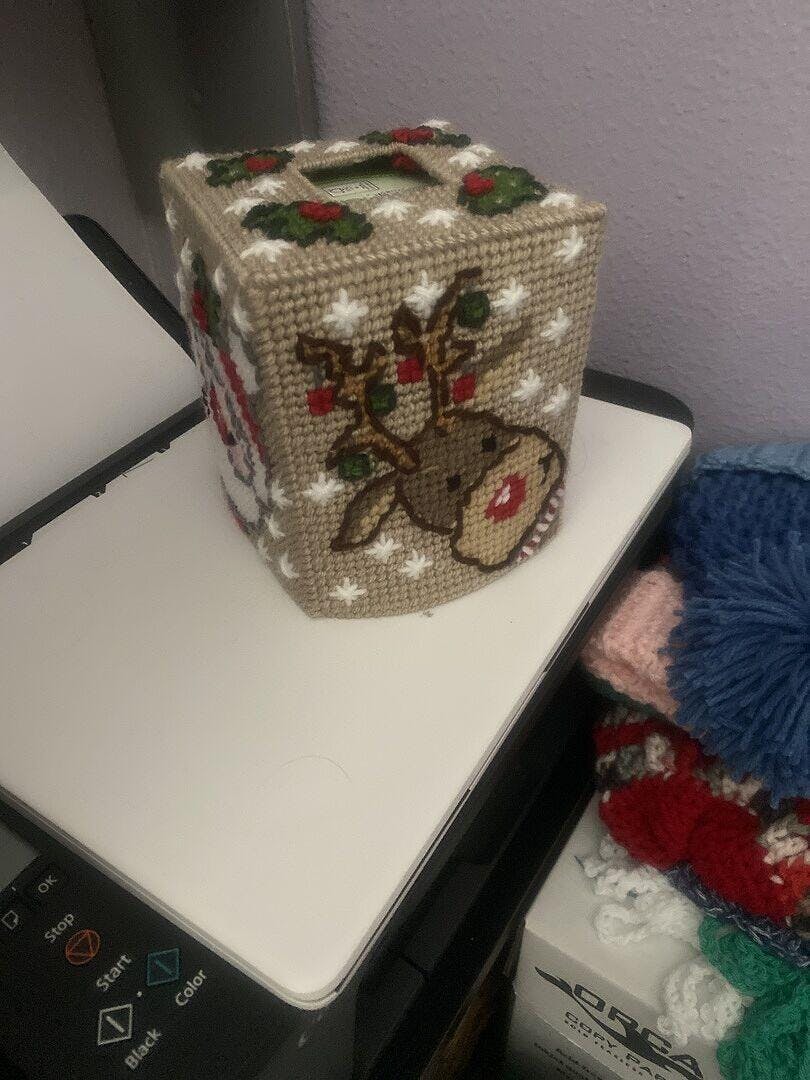 Festive Friends Plastic Canvas Tissue Box Cover – Mary Maxim