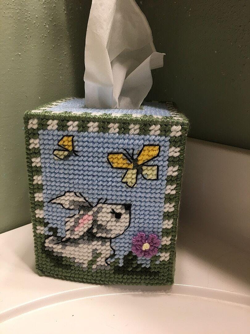 Hippity Hop Tissue Box Cover Kit – Mary Maxim