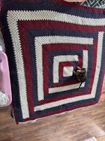 Big Twist Value Yarn