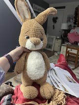 Peter Rabbit & Friend