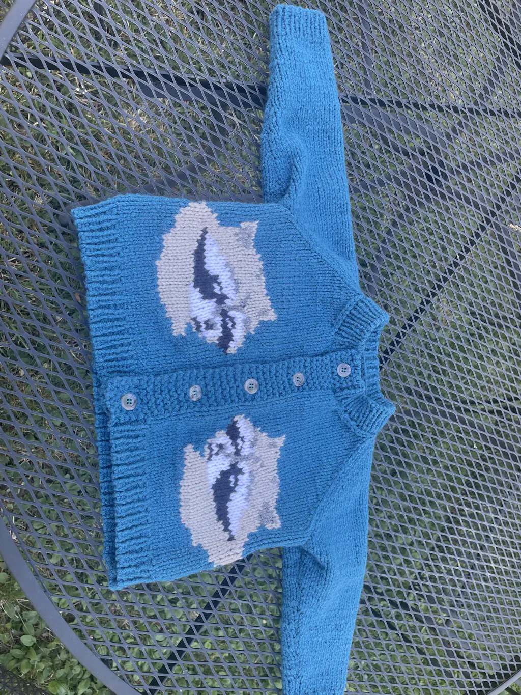 Raccoon Cardigan Pattern – Mary Maxim
