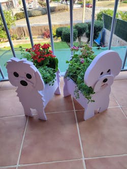 Macetero Bichon Frisé