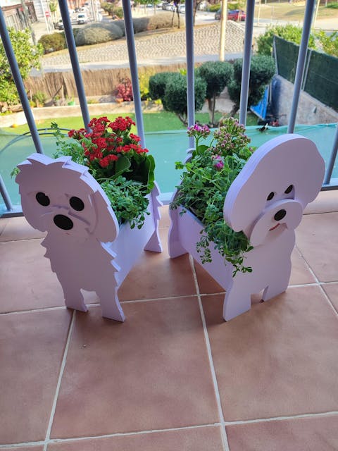 Macetero Bichon Frisé