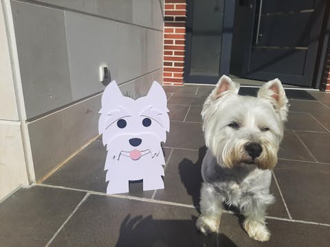 Macetero West Highlander Dog