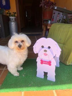Mascotahoy.es