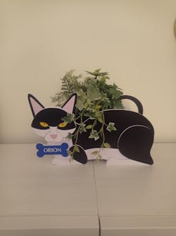 Macetero Gato Negro y Blanco