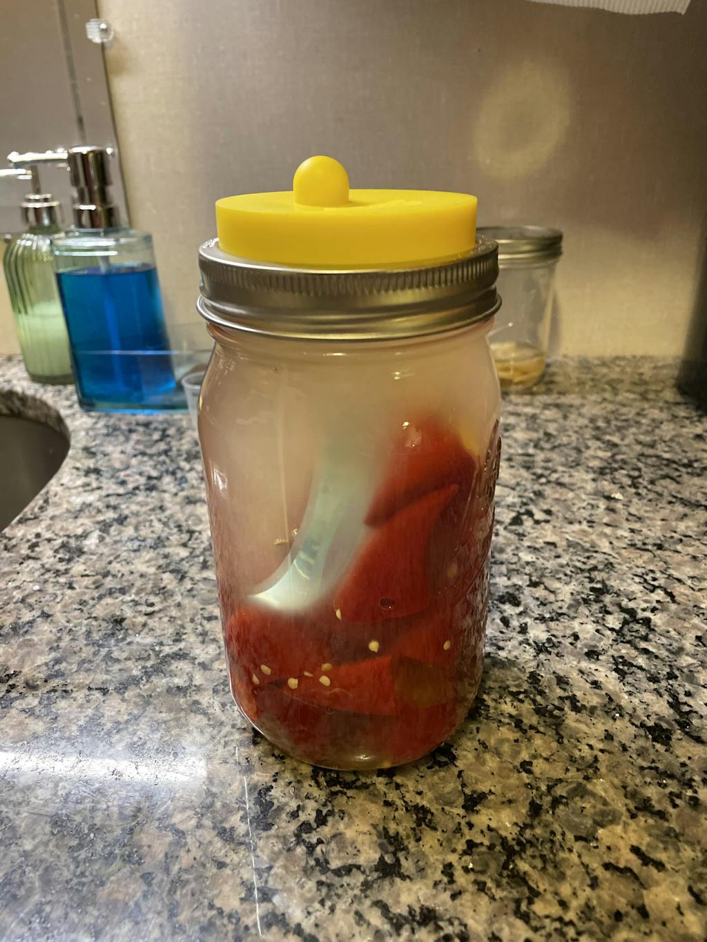 Silicone Fermentation Airlock Valve Lid for WM Mason Jars