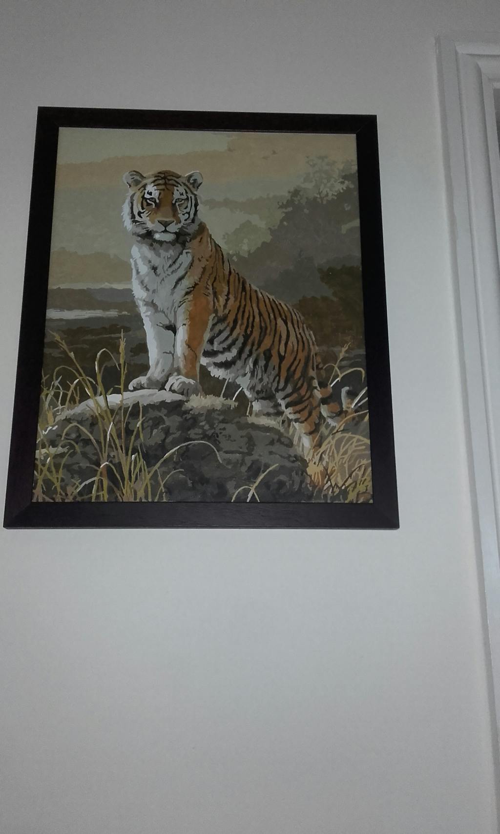 Majestic Tiger Masterpiece By Numbers