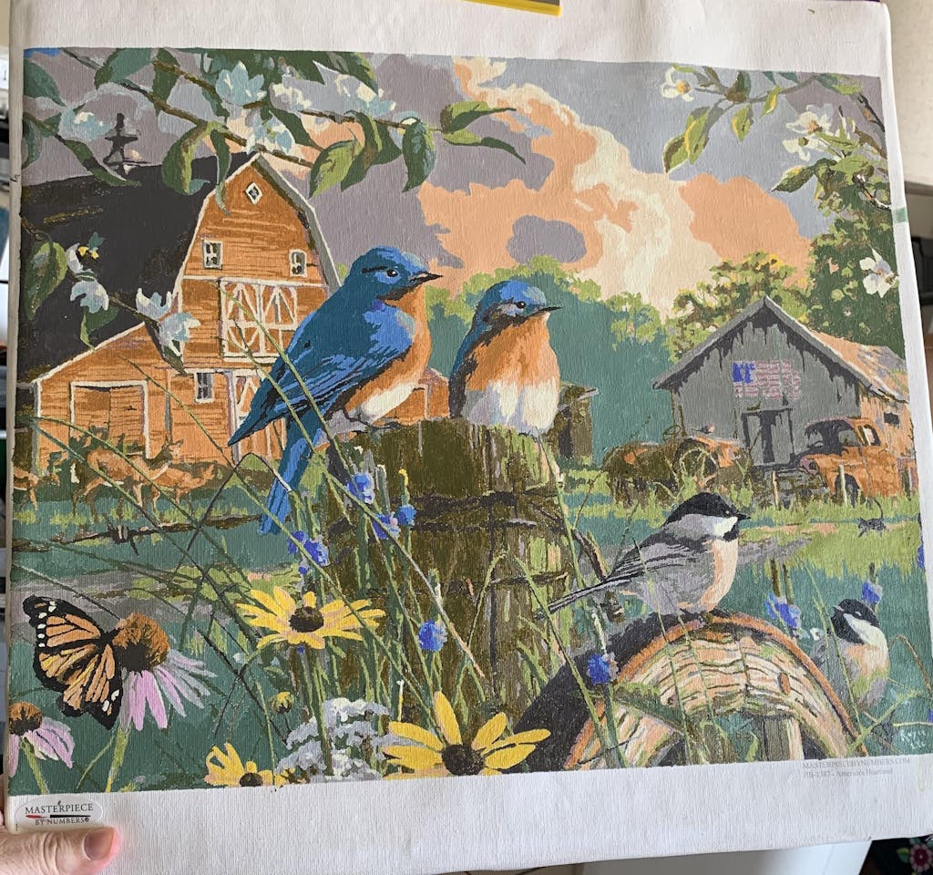 Paint By Number Brushes - 5 Piece Set – Masterpiece By Numbers