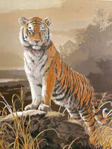 Ravensburger CreArt Majestic Tiger Paint by Numbers Kit for Kids - Painting  Arts and Crafts for Ages 11 and Up