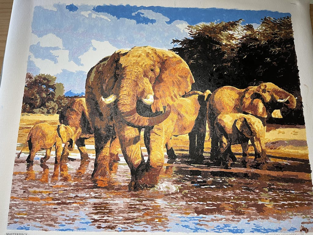 Elephant Paint By Number Kit Masterpiece By Numbers