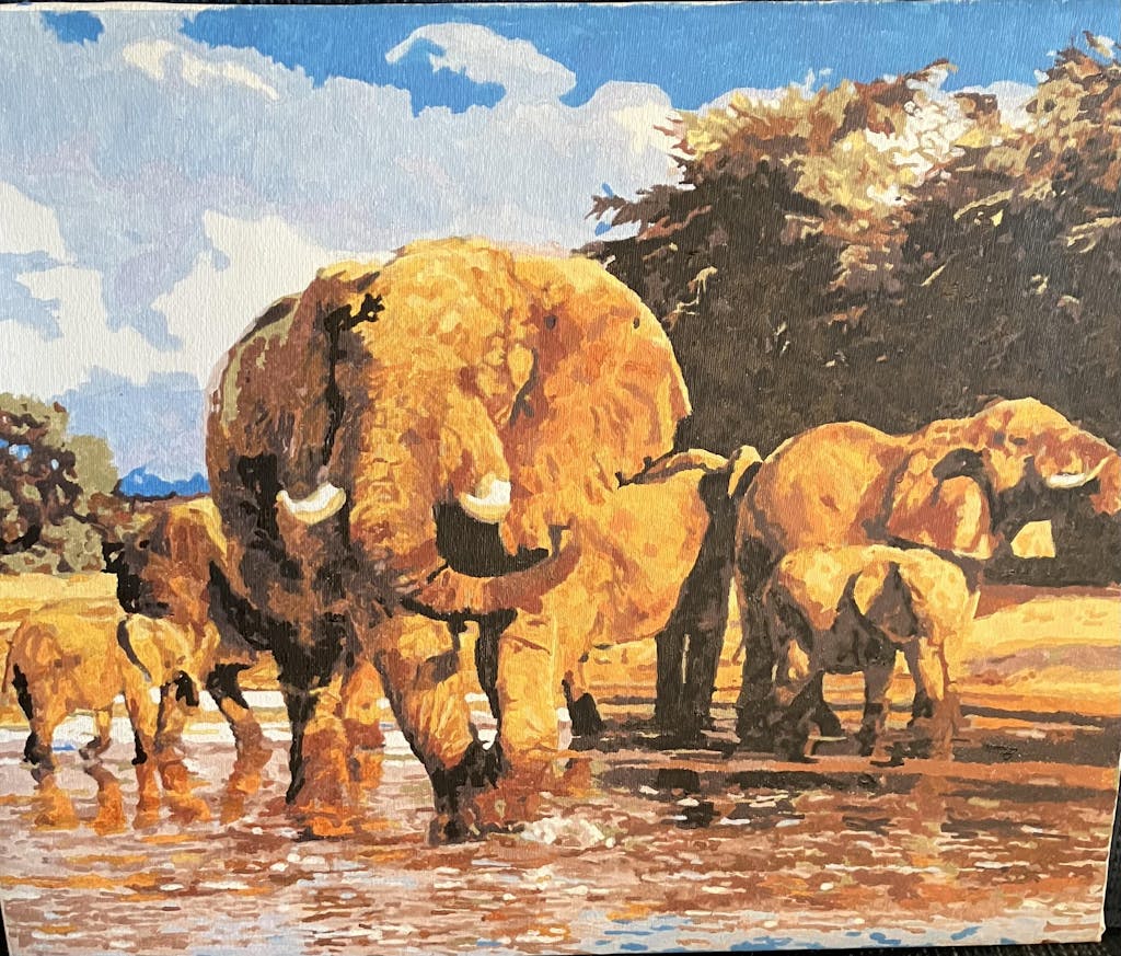 Elephant Paint By Number Kit Masterpiece By Numbers