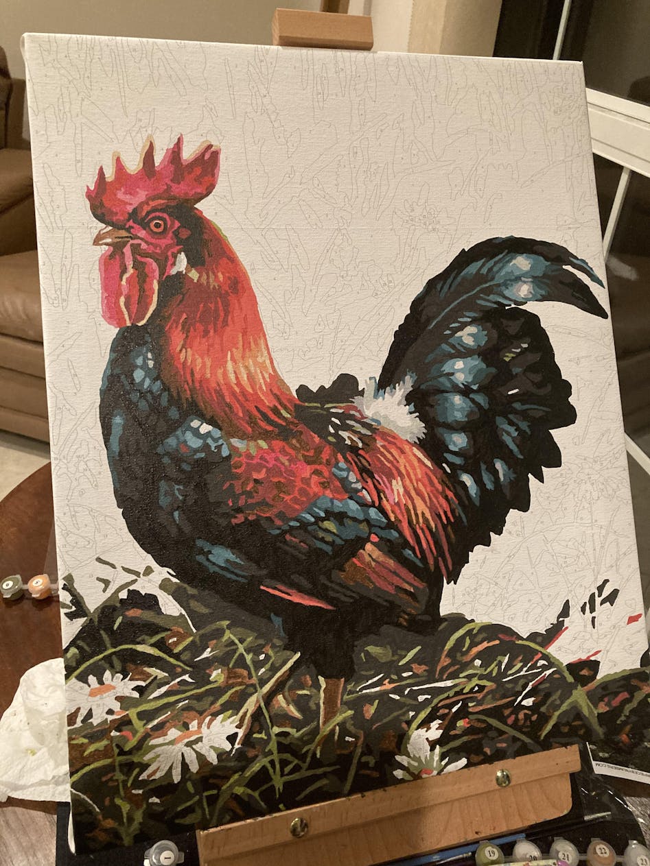 Funny Rooster - Birds Paint By Numbers - Paint by numbers for adult