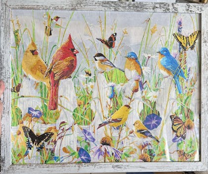 Meadow Menagerie - Paint By Number Kit – Masterpiece By Numbers