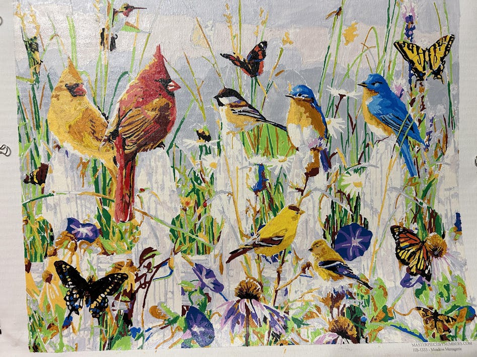 Meadow Menagerie - Paint By Number Kit – Masterpiece By Numbers
