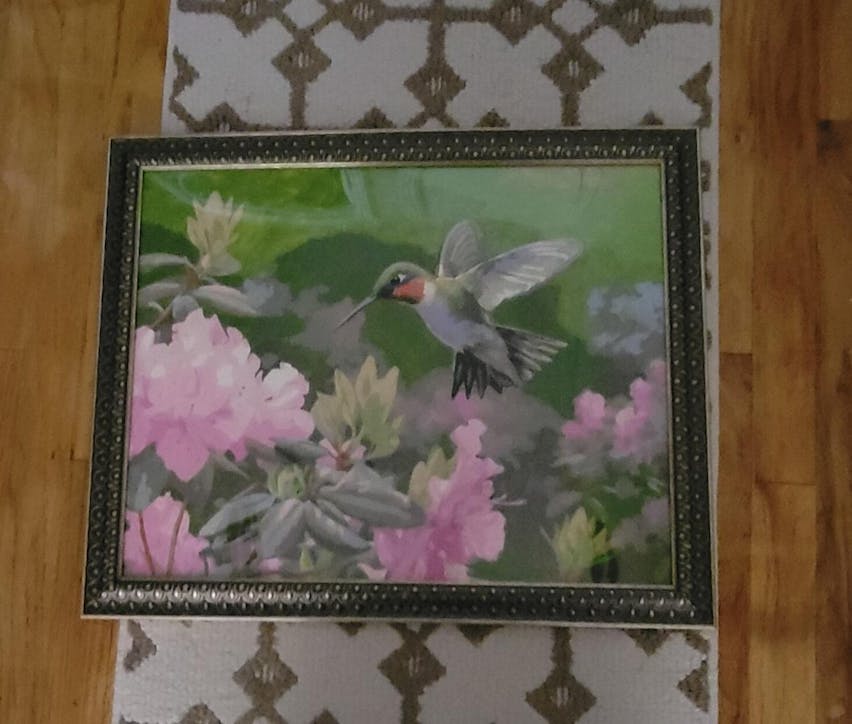Diamond Painting Kit Hummingbird (Full Drill) – Just Paint by Numbers UK