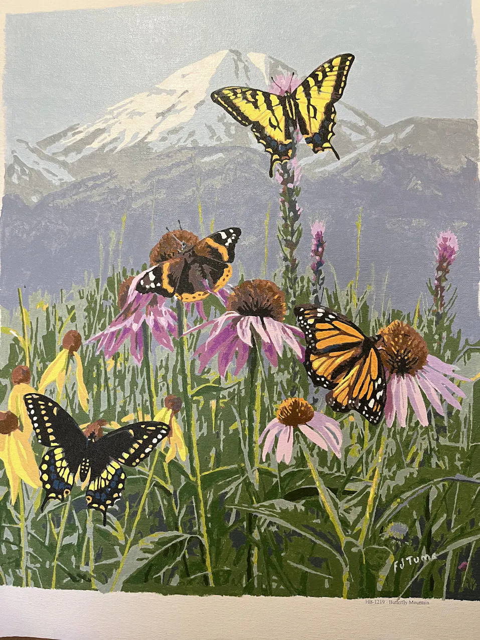 Butterfly Mountain
