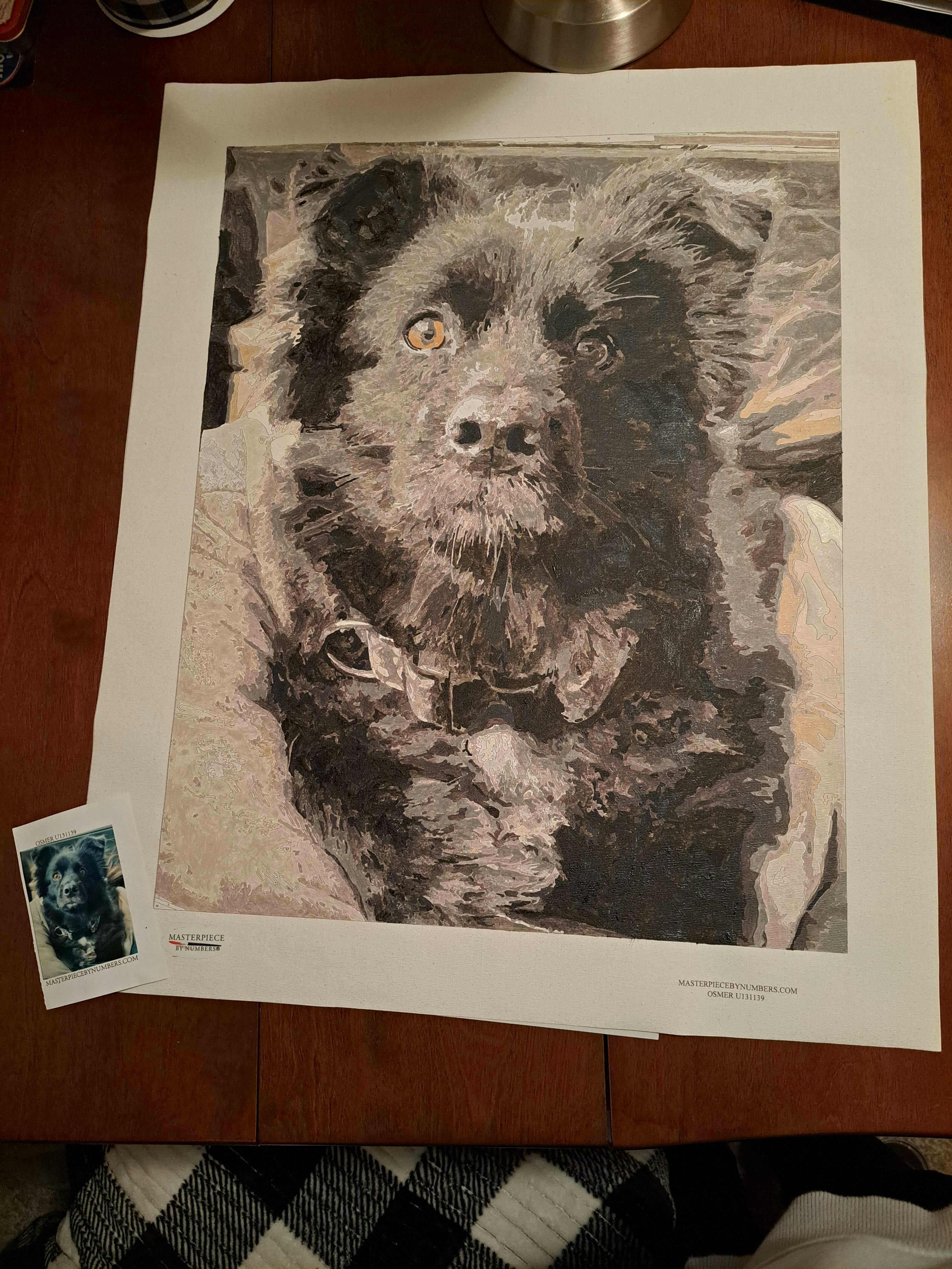 Photo to Paint By Numbers. Create Your Own Masterpiece. Masterpiece