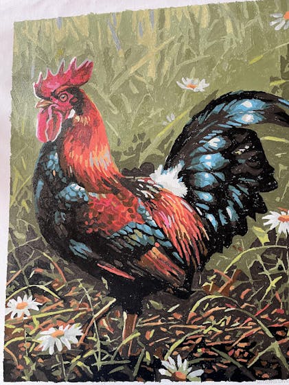 Funny Rooster - Birds Paint By Numbers - Paint by numbers for adult