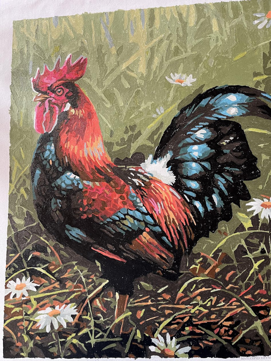 Funny Rooster - Birds Paint By Numbers - Paint by numbers for adult