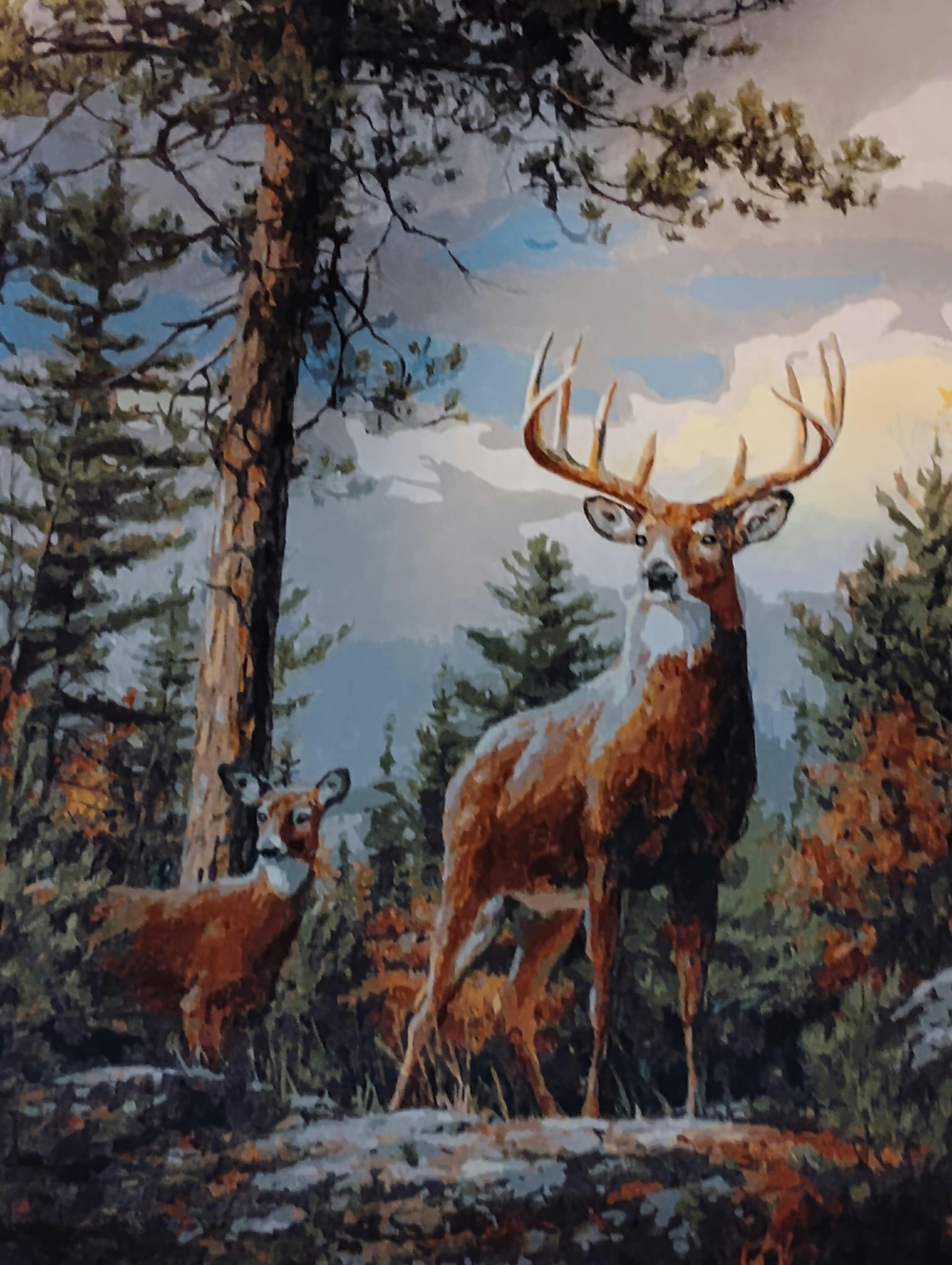 Standing Proud Paint By Number Kit – Masterpiece By Numbers