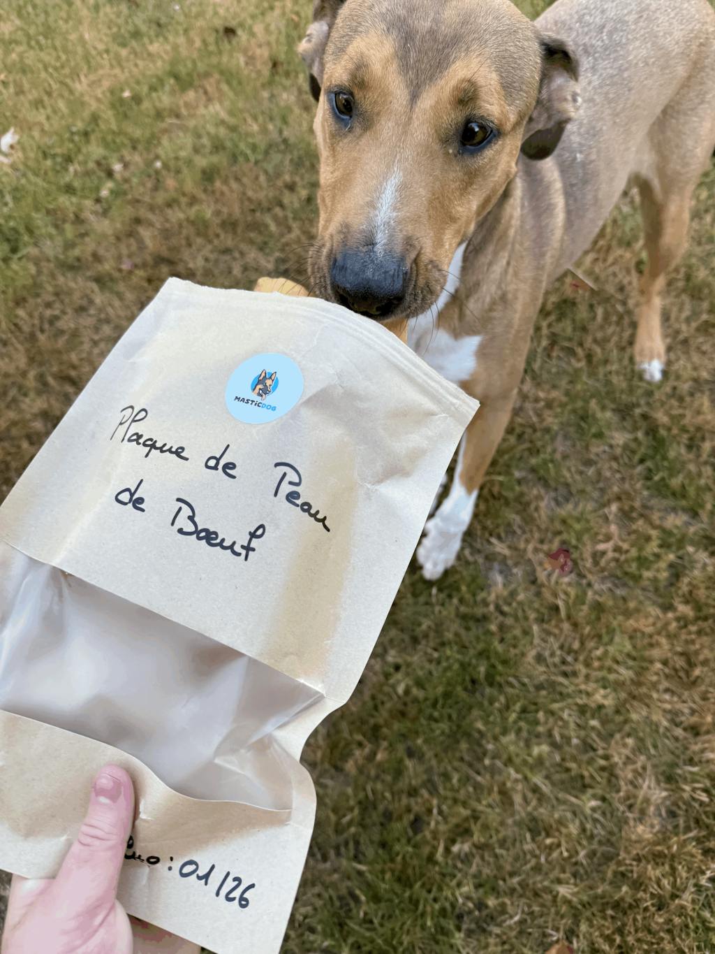 Plaque de peau de bœuf