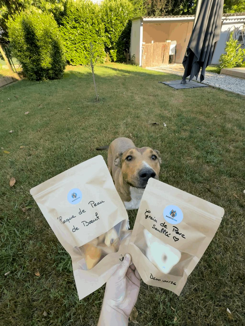 Groin de porc soufflé