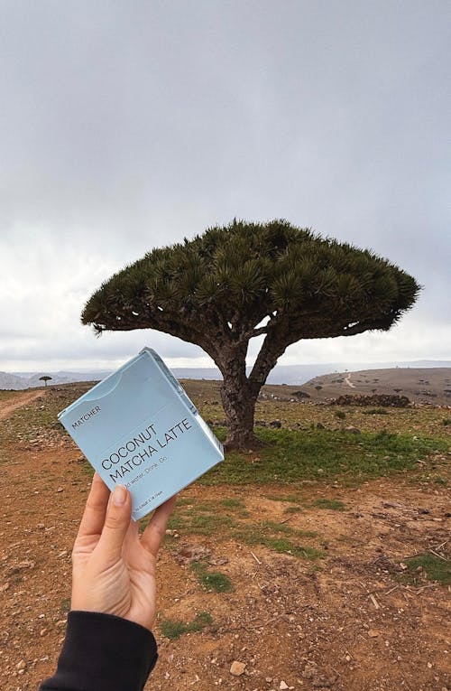 Кокосовий матча лате