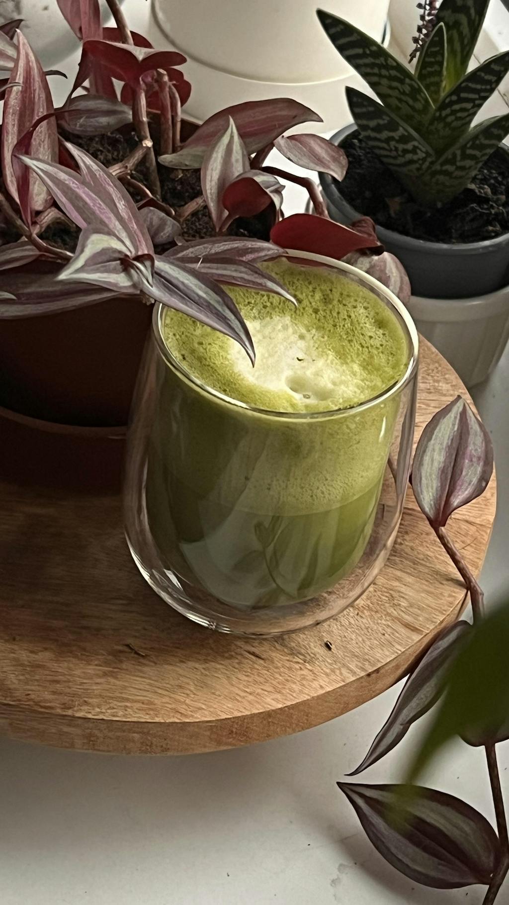 002 Tsundoku матча для коктейлів