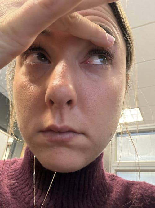 Limited Edition: No Job Too Ruff! MORR dogs