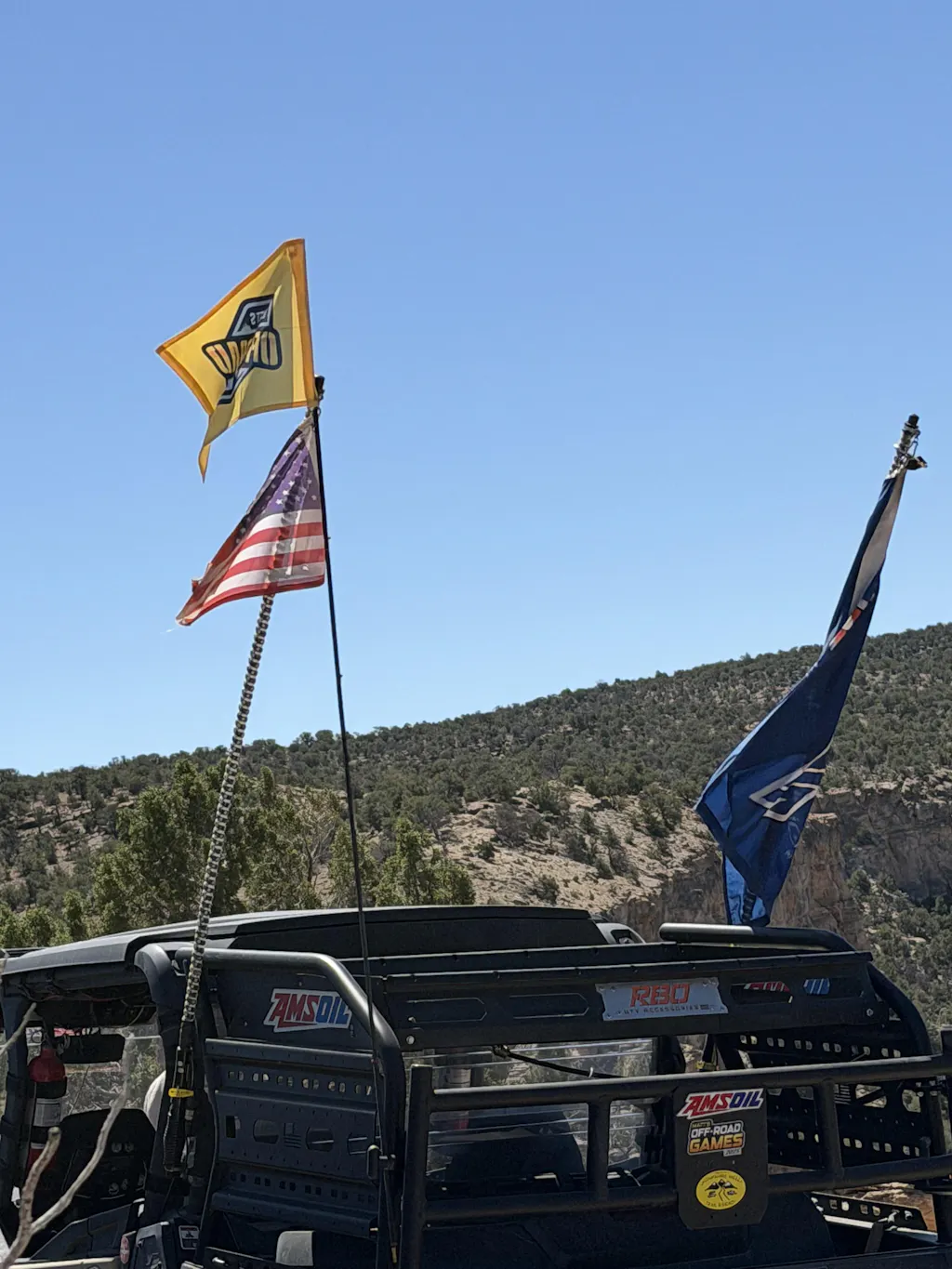 Whip Flag