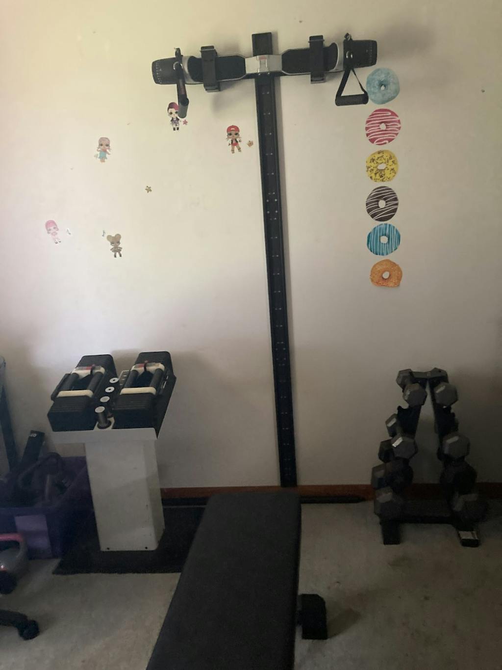 SlimLine Wall Track System MAXPRO Fitness Smart Gym