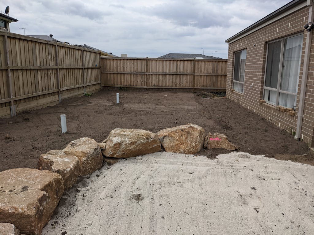 Buy Buffalo Seed from Australia leading grass seed experts.