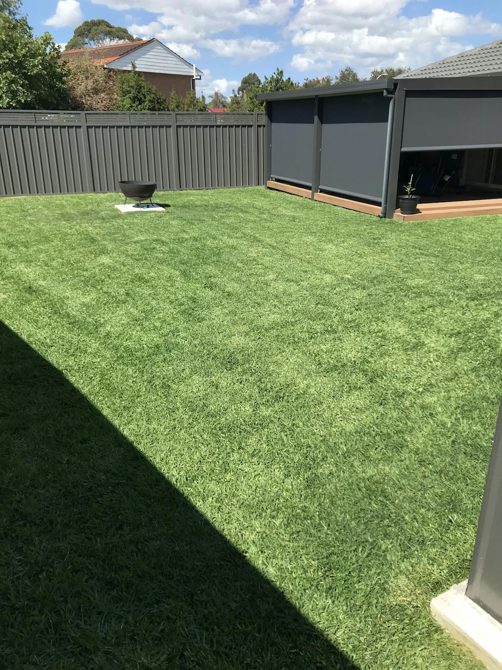 Buy Kikuyu Seed online from Australia leading grass seed experts.