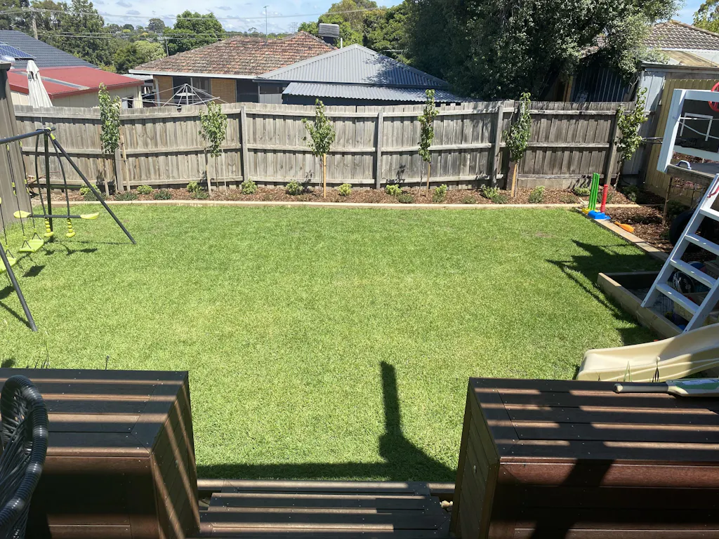 Buy Kikuyu Seed online from Australia leading grass seed experts.