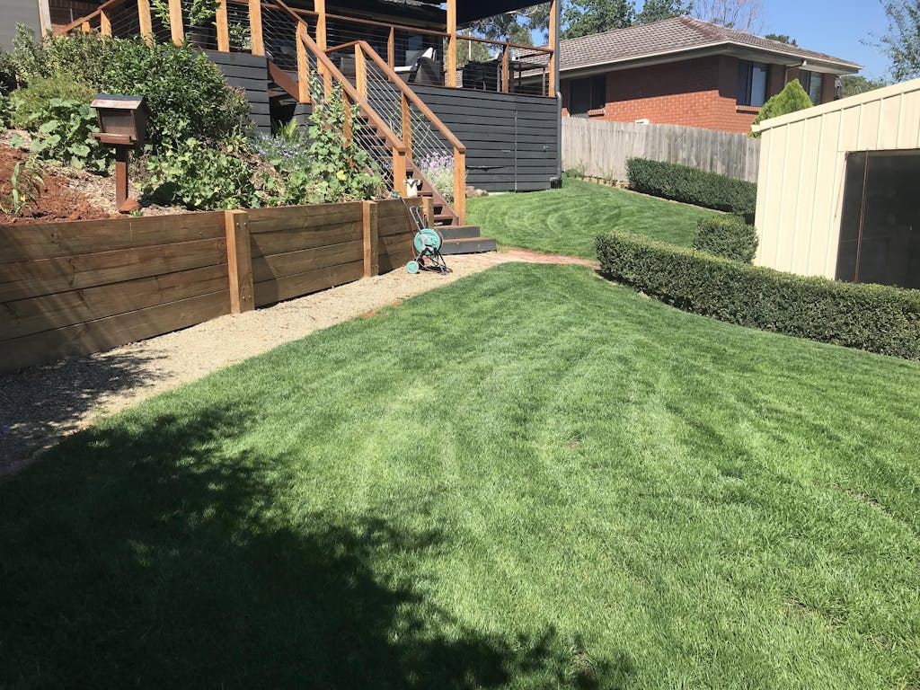 RPR Perennial Ryegrass McKays Grass Seeds