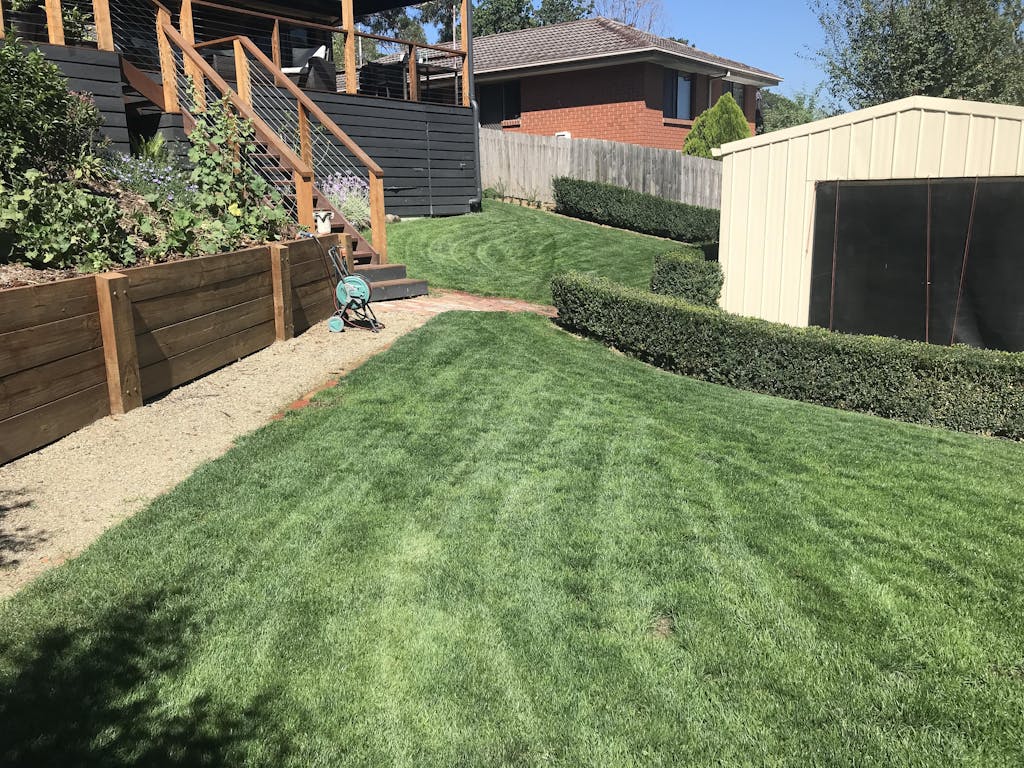 RPR Perennial Ryegrass McKays Grass Seeds