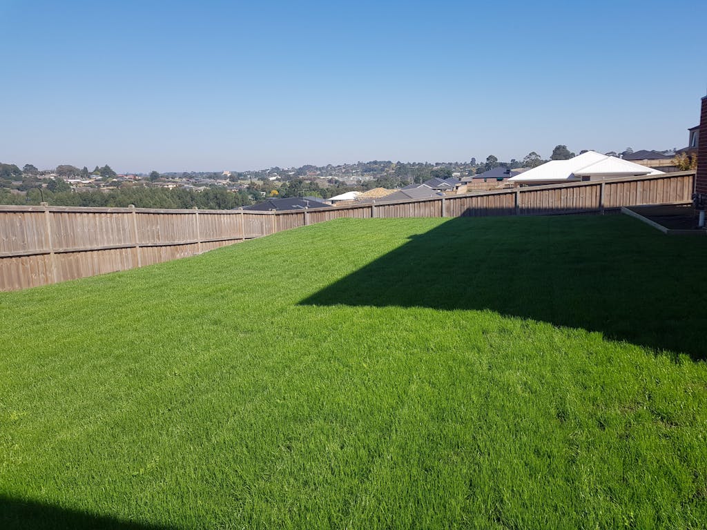 RPR Perennial Ryegrass McKays Grass Seeds