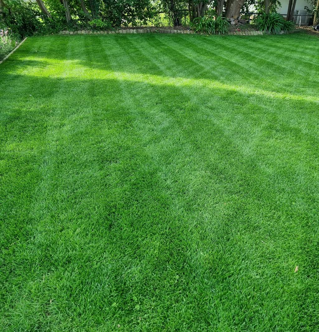 RPR Perennial Ryegrass McKays Grass Seeds